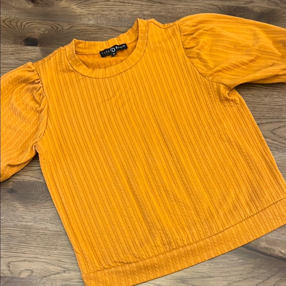 Fred David Puff Sleeve Top Medium